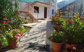 Cheap House Near The Center Of The City